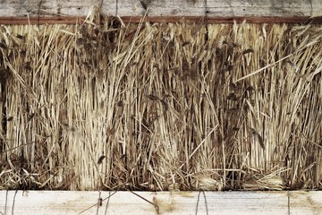straw wall, natural background