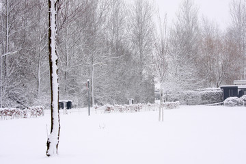 Snow covered park