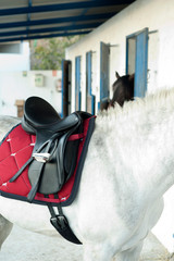 silla de montar a caballo negra piel