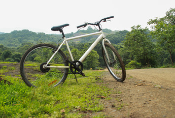 bicycle on the grass in woods