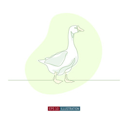 Fototapeta na wymiar Continuous line drawing of goose. Template for your design works. Vector illustration.