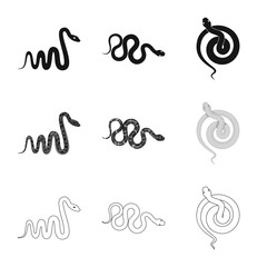 Vector illustration of mammal and danger logo. Set of mammal and medicine stock vector illustration.