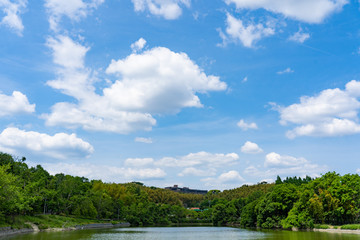 Obraz premium 緑地公園 風景