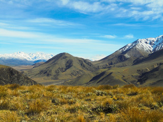 beautiful view on yellow plains with tussock grass and snow capped mountains from hiking trail to Mount Somers, foothills of Southern Alps in Canterbury region, South Island of New Zealand