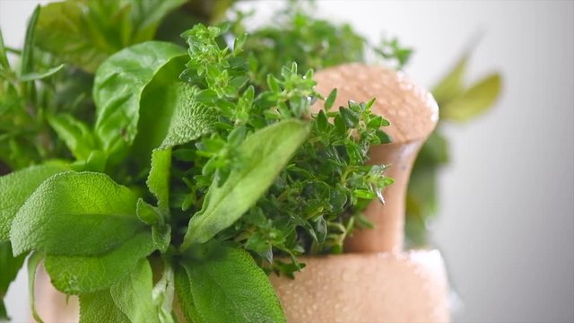 Herbs. Bunch of fresh green organic aromatic herb leaves in wooden mortar with pestle rotated. Mint, Peppermint, Rosemary, Thyme, Sage. 4K UHD video footage. 3840X2160