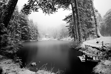 Frozen lake, cottage and trees covered with snow in the forest. Winter landscape
