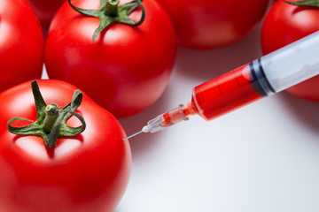 Close-up shot of a syringe injecting a red liquid to fresh red tomatoes. Concept of genetic...