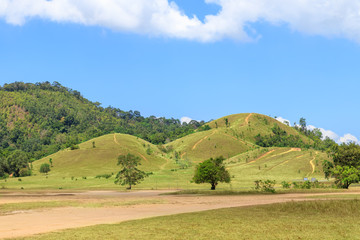 Fototapeta na wymiar Golden grass at bald hill mountain, scenic park in Ranong, Thailand