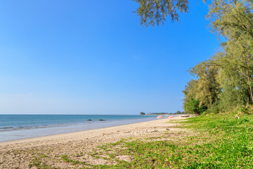 Fototapeta na wymiar Clear blue sea at Bang Sak Beach near Khao Lak, Phang-Nga, Thailand