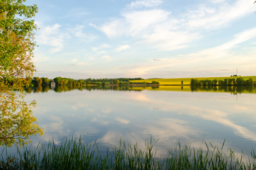 Wild nature, yellow field and sky with reflection in the lake