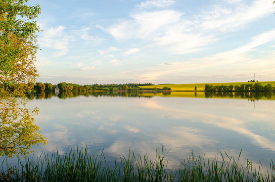 Wild nature, yellow field and sky with reflection in the lake