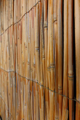 background of reed. tied up. fence from reed. reed texture