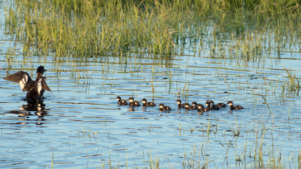 It's easy, just do as I do