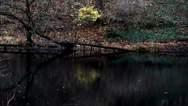 Wintry evening impressions from the City Park (Fennsee) in Berlin Wilmersdorf from December 4, 2015, Germany 
