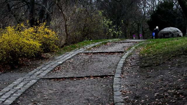 Wintry evening impressions from the City Park (Fennsee) in Berlin Wilmersdorf from December 4, 2015, Germany 