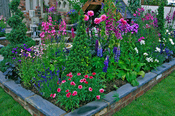 Detail of colourful planting in a raised bed with Dahlias and Lupins © Garden Guru
