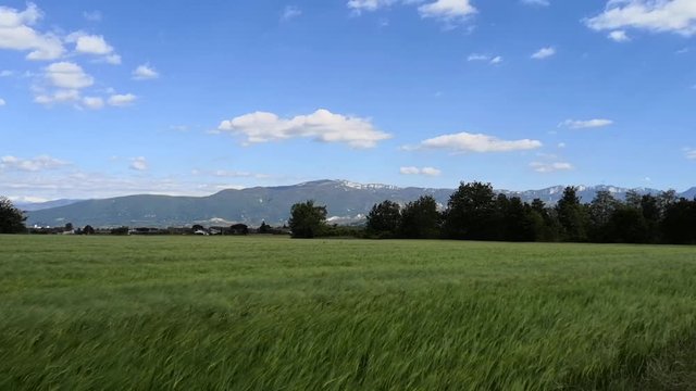 Vue sur le pr&eacute; de cinq sous 