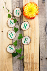 Holzscheiben mit Buchstaben Garten ,Efeu,Stillleben,Deko