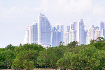 Ciudad de Panamá Mayo 2019