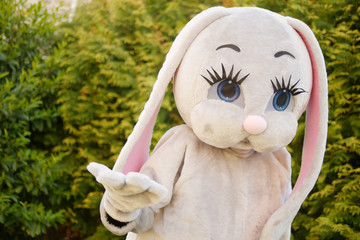 Growth doll of a giant cartoon gray hare in the park on the green grass