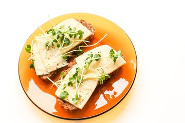 Orange plate with sandwich cheese and radish on a white table