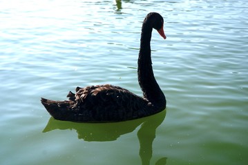 Lac et château de Genval (Brabant wallon- Belgique)