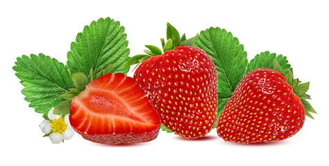 Fresh strawberries with leaves and flower isolated on white background with clipping path