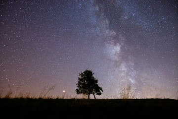 Alone tree at night with clean starry sky and Milky Way in the background
