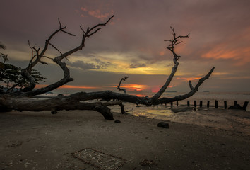 Sonnenuntergang an der K&uuml;ste von Malaysia, mit Wasserspiegelung und vertrocknetem Baum im Vordergrund