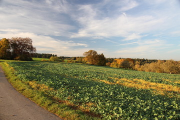 Schwäbische Alb