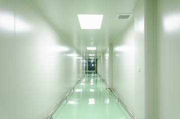 Corridors For Clean room pharmaceutical plant , Epoxy flooring , Sandwich Panel
