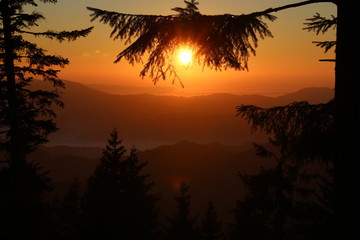 Winter im Schwarzwald