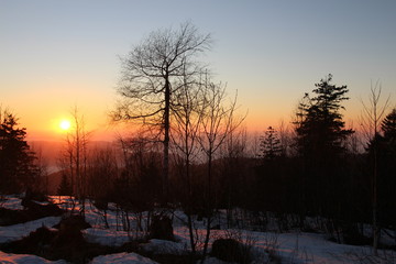 Winter im Schwarzwald