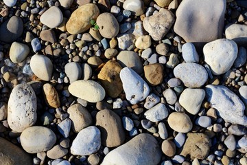 A close view of the rocks and pebbles on the ground.