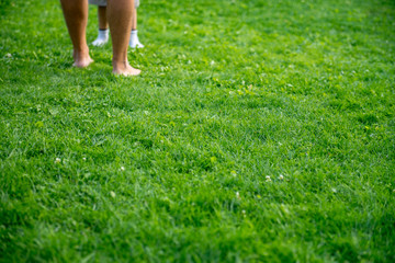 Kid and adult feet playing in green grass