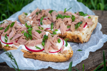 Baguette with tuna, sauce and radish on a background of grass. Delicious snack at a picnic outdoors. Tuna sandwich.