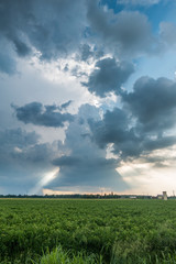 Fototapeta na wymiar Clouds with light rays and stormy weather over agriculture fields