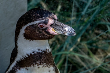 Im Tierpark