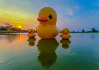 Floating yellow rubber ducks at sunset on the Nong Prajak lake at Udon Thani, Thailand.