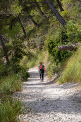 Obraz premium Mount Conero