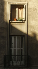 Obraz premium Otoño2