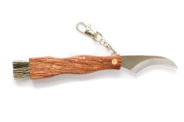 Pocket knife for collecting mushrooms. Knife with a wooden handle.