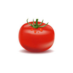 Real fresh tomato with water drop isolated white background.Tomato vector on white background design