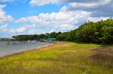 Views along the coast of a saltwater wetland marsh