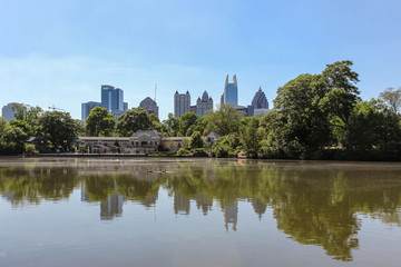 Fototapeta na wymiar Swan family swimming in the lake of Piedmont park in Atlanta and amazing cityscape and reflections in the water