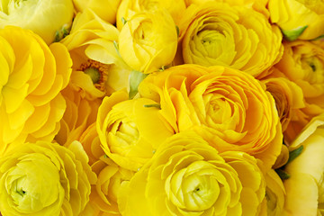 Macro shot of beautiful bouquet of yellow ranunculus flowers with visible petal texture structure. Close up composition with bright patterns of flower buds with a lot of copy space for text. Top view.