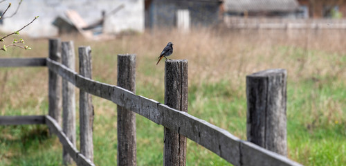 wooden fence