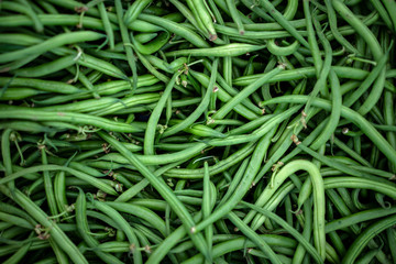 Grüne Bohnen 