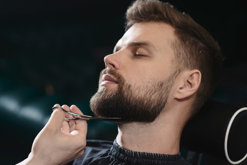 Getting perfect shape. Close-up side view of young bearded man getting beard haircut by hairdresser...