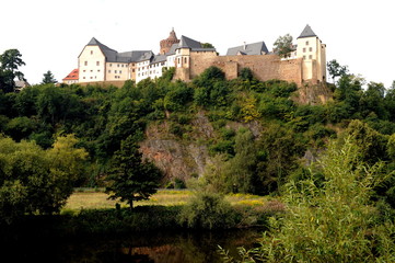 Fototapeta na wymiar Leisnig mit Burg Mildenstein in Sachsen